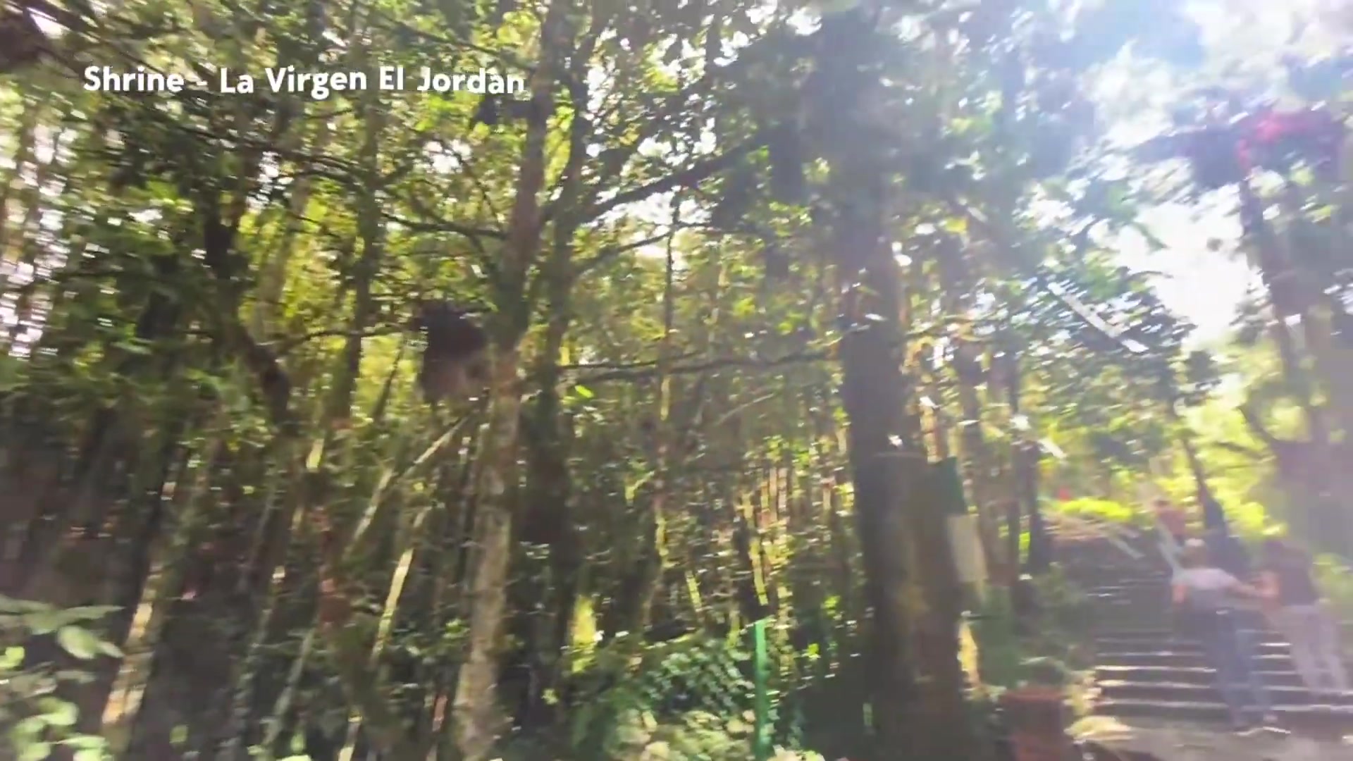 Video thumbnail for MY BIRTHDAY & St. Valentine's in Medellin Vlog