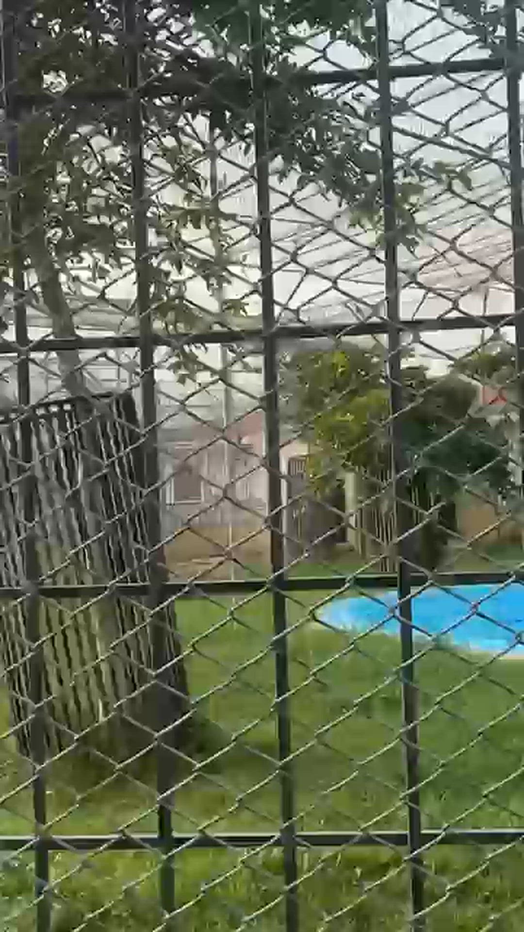 Video thumbnail for Danzoo Bahria