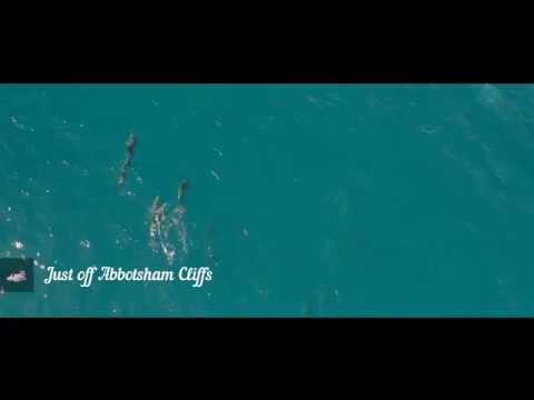 Video thumbnail for Welcome to Devon, A Picturesque Tour around an Idyllic Paradise!