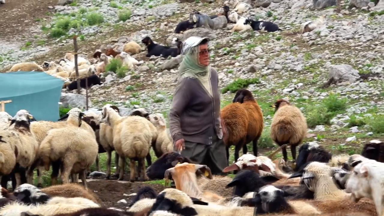 Video thumbnail for Türkiye: Villagers sustain traditional dairy production in high mountains of eastern Türkiye.
