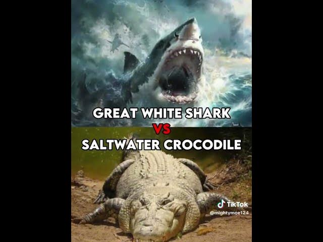 Video thumbnail for List of 23 Who Would Win? 1v1 debates | @patrickbell7035