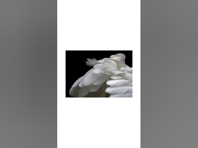 Video thumbnail for God is Love!  Jesus Saves!  Allow God to love you!   #prayer  #music #cover #relaxing #motivation