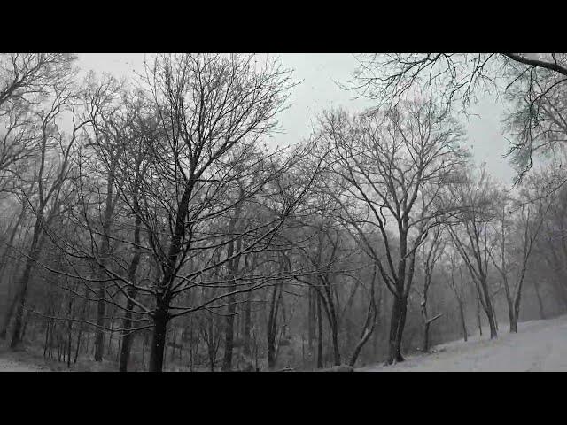 'Video thumbnail for Urban Parks: Franklin Park in Boston, Massachusetts'