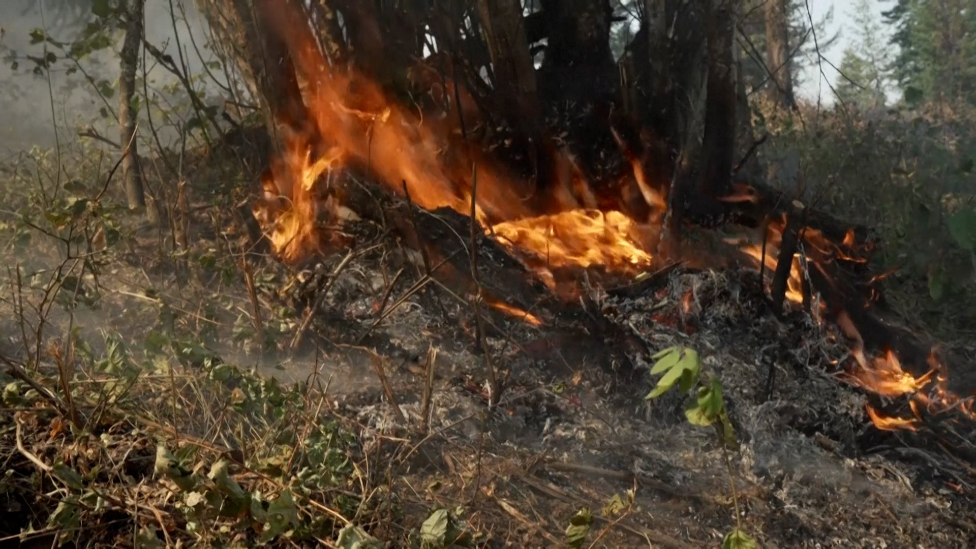 Video thumbnail for Wildfires in Washington state force thousands to evacuate homes