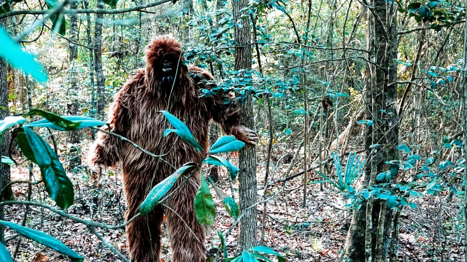 Video thumbnail for Is Bigfoot Real? Researchers Think They May Have Figured It Out