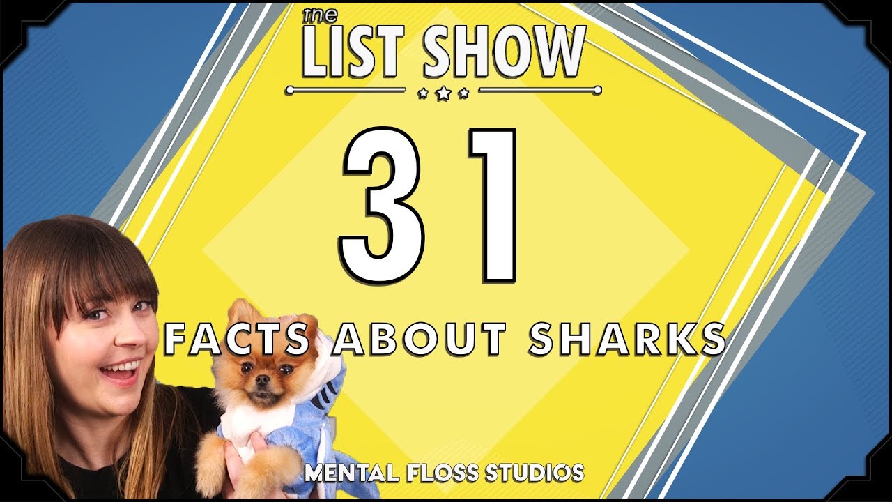 Video thumbnail for 31 Facts About Sharks | Mental Floss List Show | 534 | Mental Floss