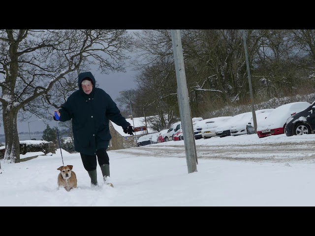 Video thumbnail for the beast frrom the east