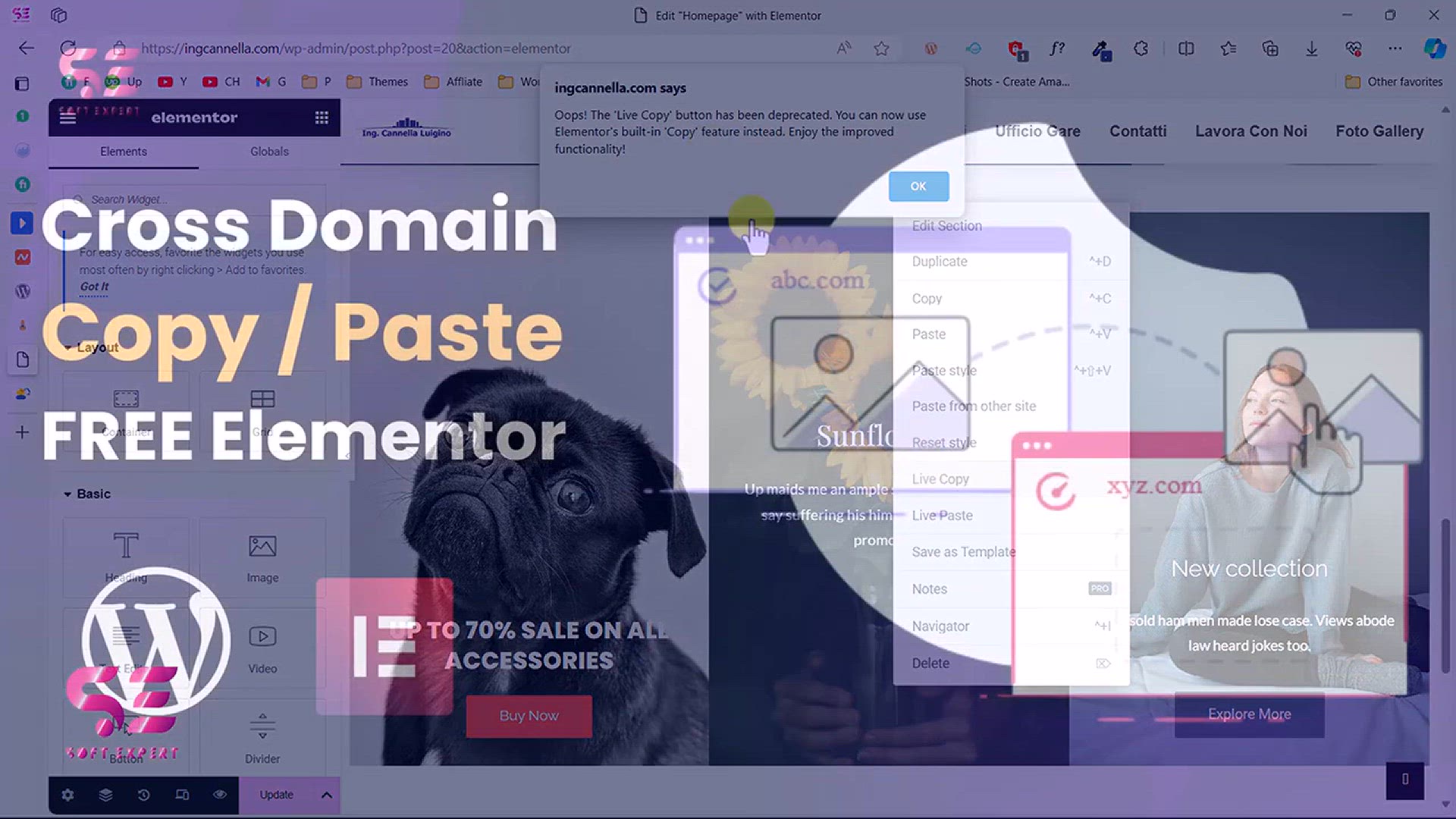 'Video thumbnail for Cross Domain Copy Paste with FREE Elementor'
