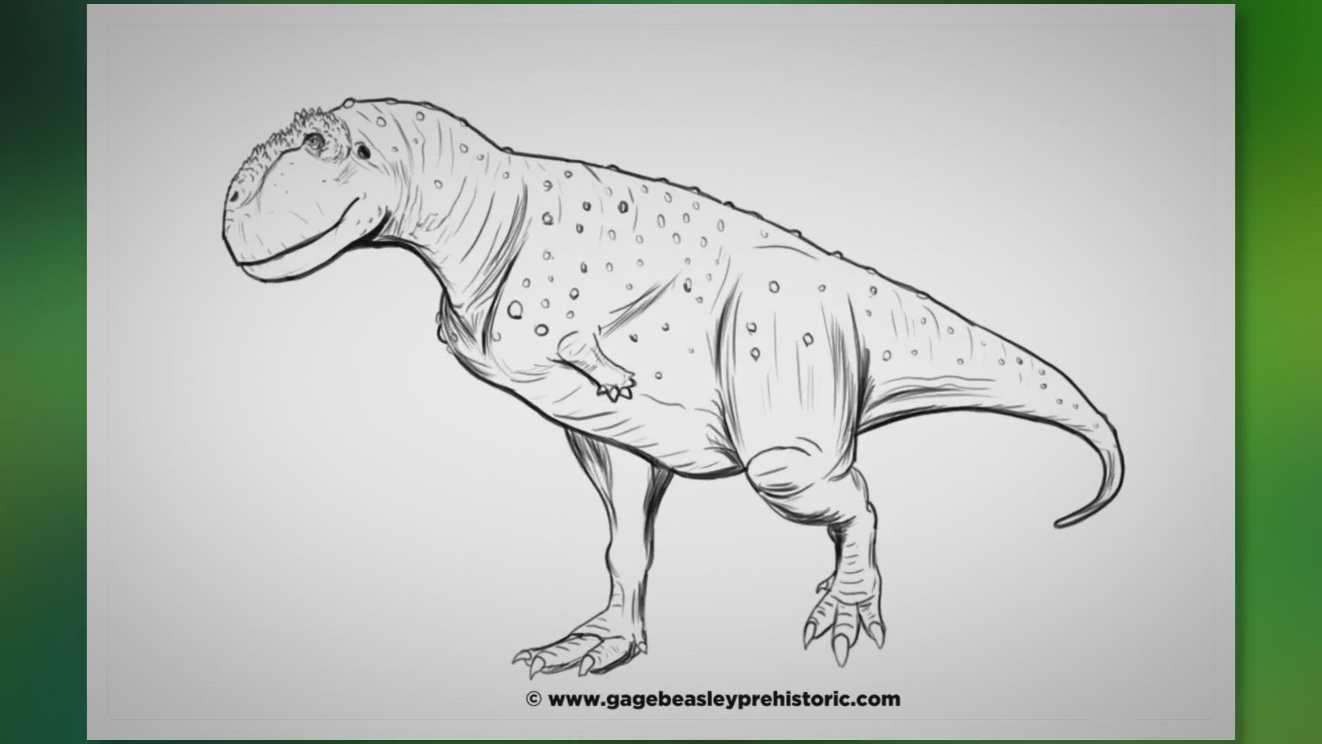 Video thumbnail for An Ultimate Guide to Skorpiovenator: The Scorpion Hunter