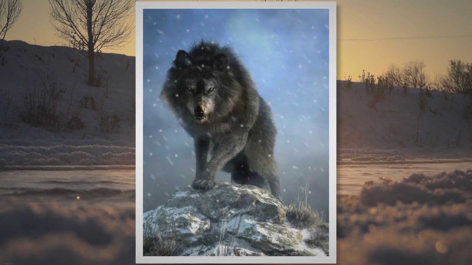 Video thumbnail for Dire Wolf Size Comparison: How Do They Measure Up?