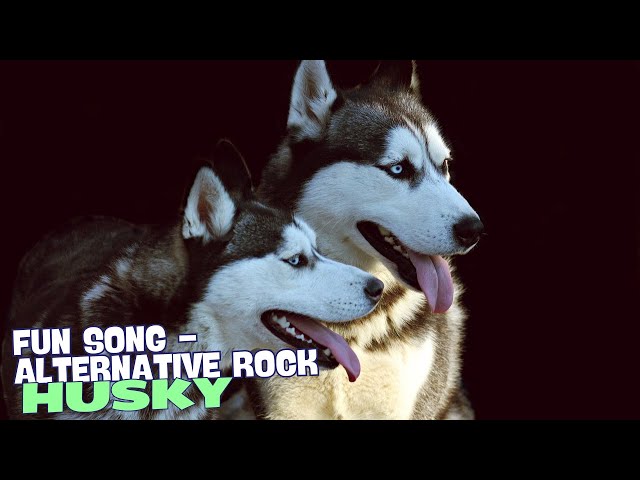Video thumbnail for Husky Blues 🎶🐺