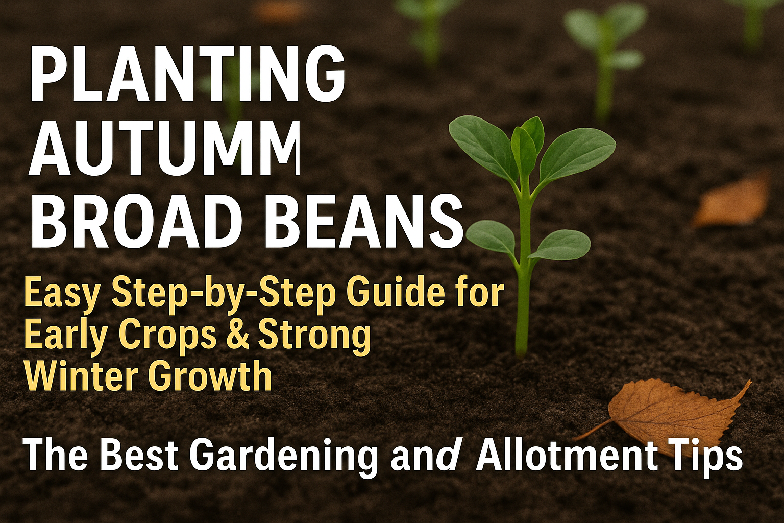 Video thumbnail for 🎥 ✅ Planting Autumn Broad Beans 🌱🍂 | Easy Step-by-Step Guide for Early Crops & Strong Winter Growth 🌿✨
