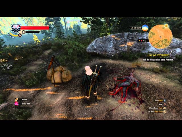 Video thumbnail for The Witcher 3: Wild Hunt - White Orchard: Hidden Treasure Complete, Spy's Notes Text (Read)