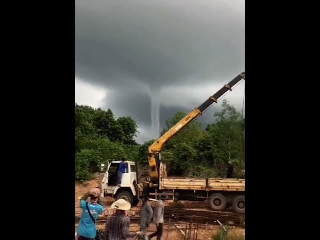 Video thumbnail for Lightning strikes palm trees, scary this rainy month in Cambodia