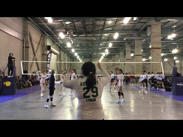 Video thumbnail for Academy Volleyball Club 14 Gold Denny vs. Vibe 14's-Vipers Volleyball Game