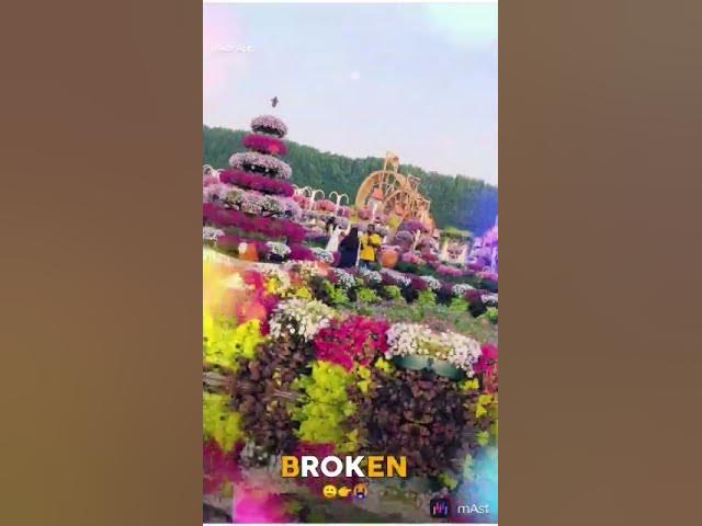 Video thumbnail for 31 January 2024