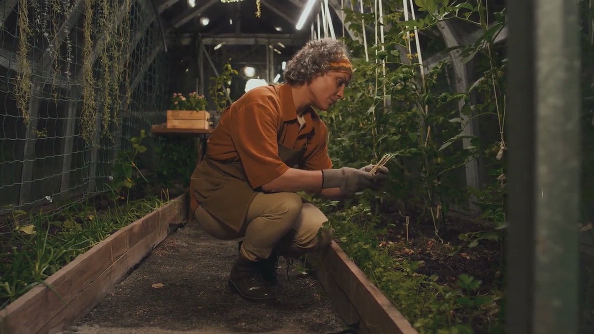 'Video thumbnail for How to Grow Wormwood'