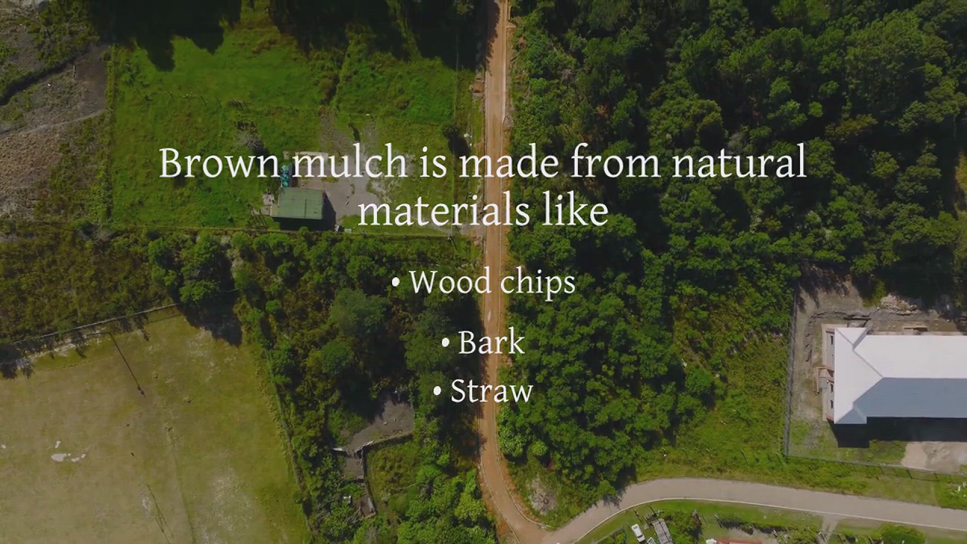'Video thumbnail for Brown Mulch vs Black Mulch for Gardening'