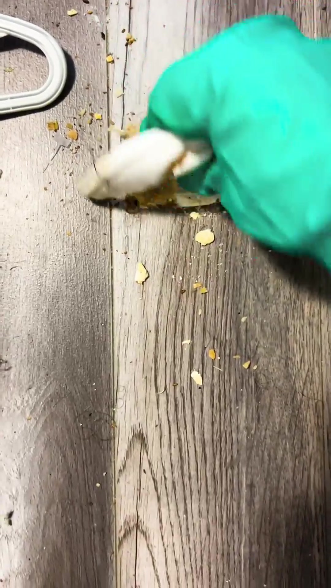 Video thumbnail for Garbage covered bedroom cleaning while I answer more questions about my free cleanings_ 🧼✨(720P_60FPS)