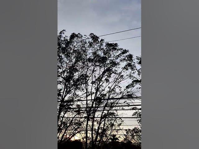 Video thumbnail for normal day...