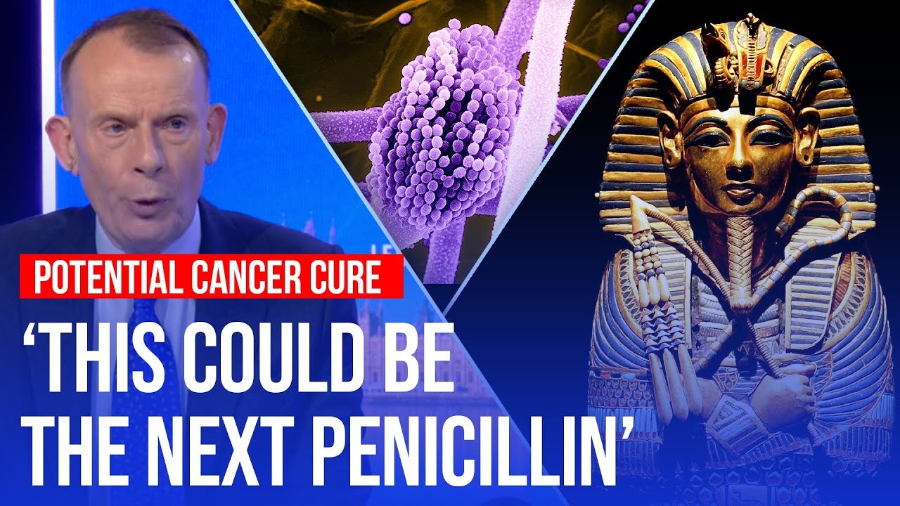 Video thumbnail for How a 'deadly fungus' in Tutankhamun's tomb could be a cure for cancer | LBC
