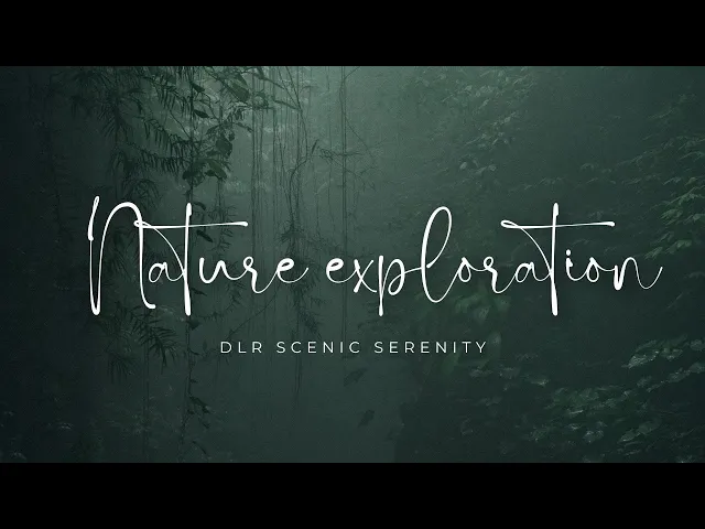 Video thumbnail for Atrocities of Nature || Nature || Wind Experience || Breath Nature