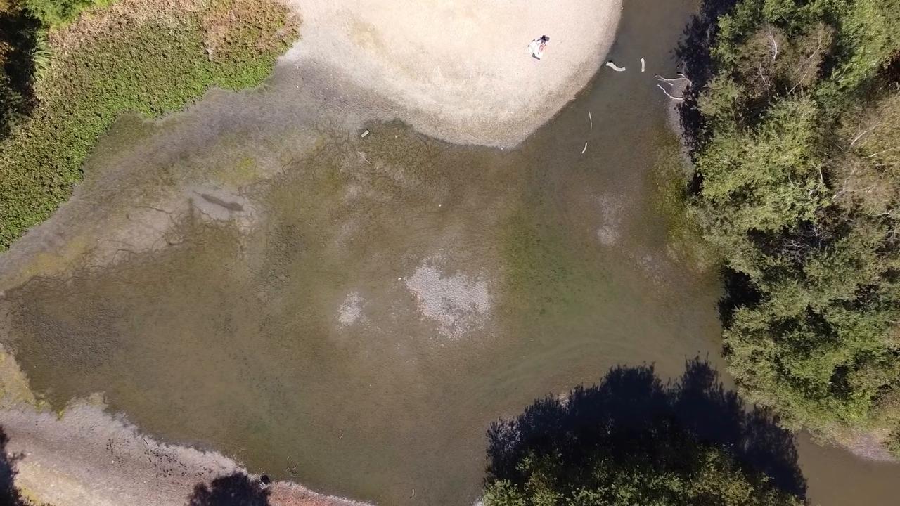 Video thumbnail for UK: Drone captures dramatic views of drought-hit London park pond.