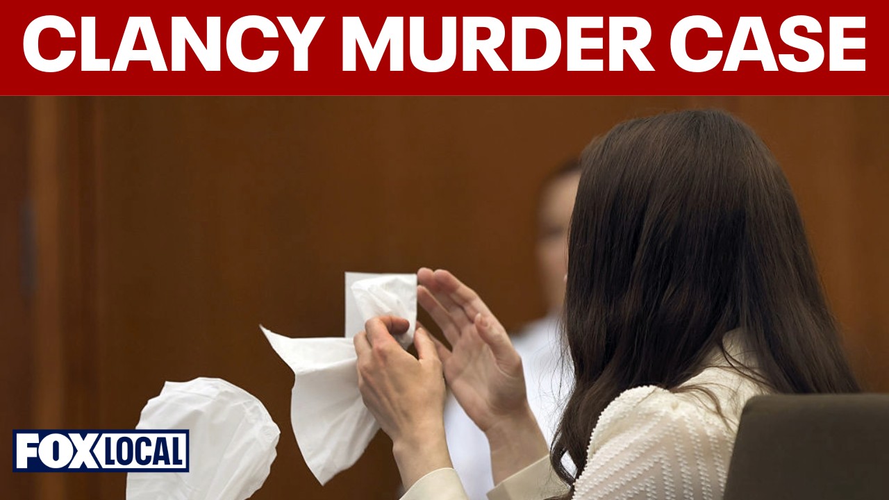 Video thumbnail for Lindsay Clancy murder case sparks debate on postpartum psychosis and legal defense