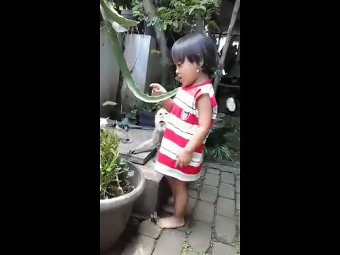 Video thumbnail for Selamat ulang tahun joni