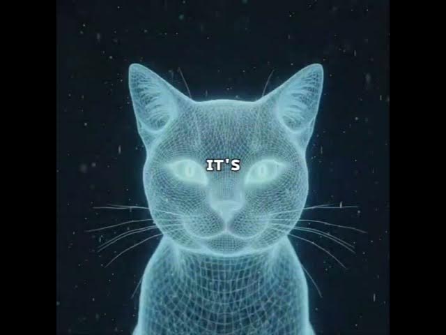 Video thumbnail for Have you ever noticed how your cat appears out of nowhere when you cry?