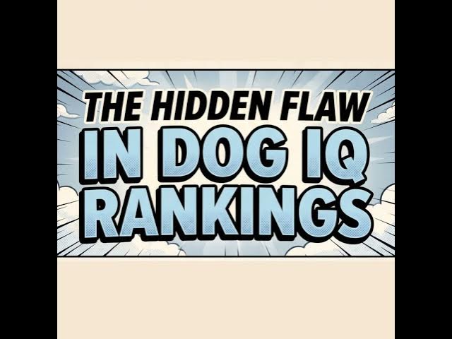 Video thumbnail for Why Smart Dogs Fail IQ Rankings