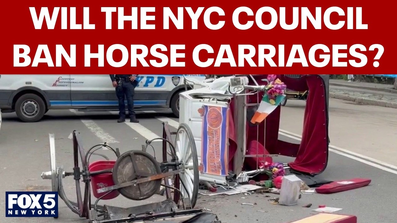 Video thumbnail for NYC Council will soon vote on proposal to ban horse carriages