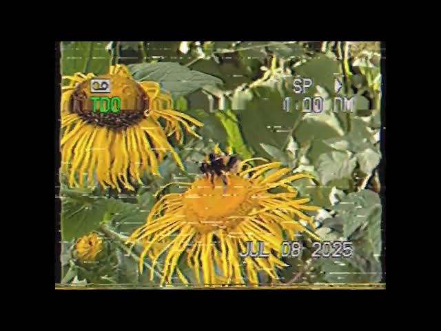 Video thumbnail for The Practice - Why Repetition is Key | Retro Wurld