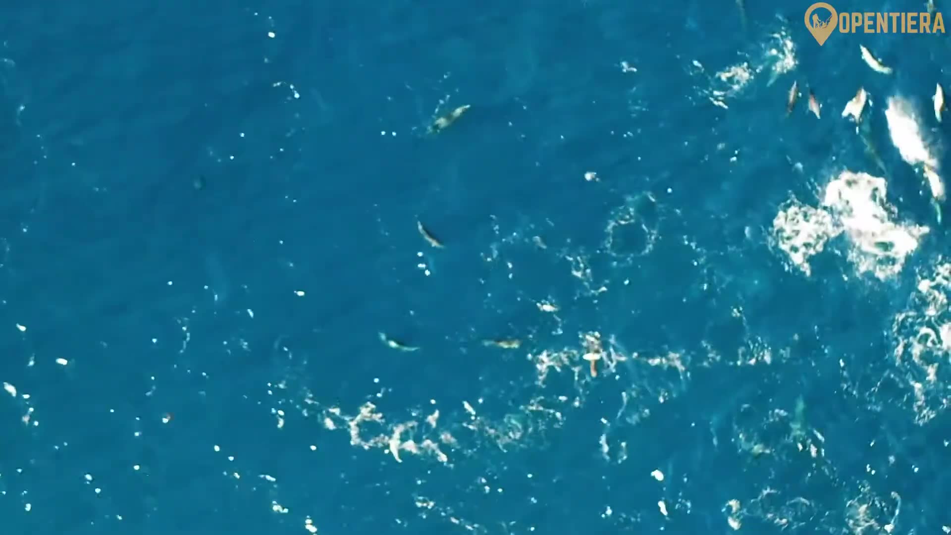 Video thumbnail for Palau in 8 Minutes   Hidden Paradise of Micronesia (History, Culture & Geography)