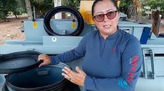 Video thumbnail for Conheça o processo de fermentação positiva Sprouting Process