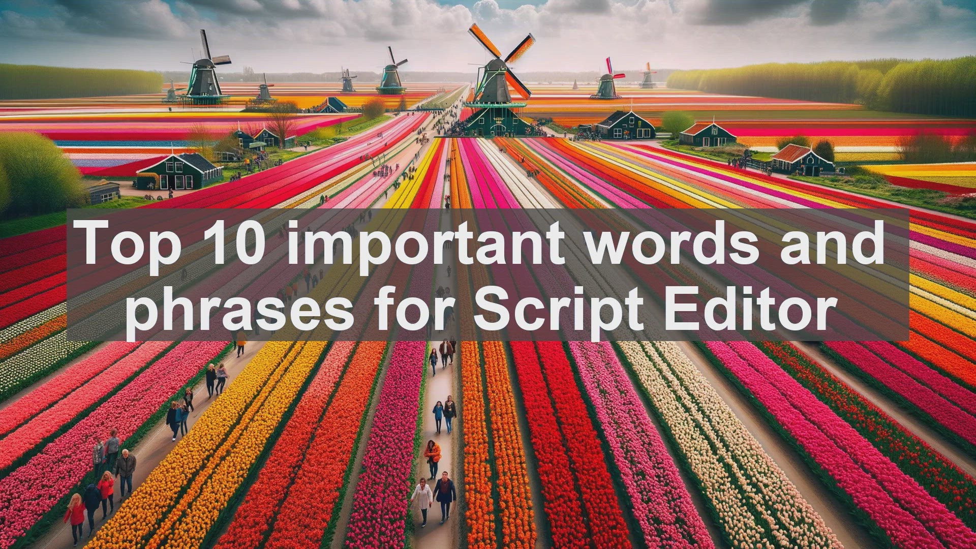 'Video thumbnail for Top 10 important words and phrases for Script Editor'