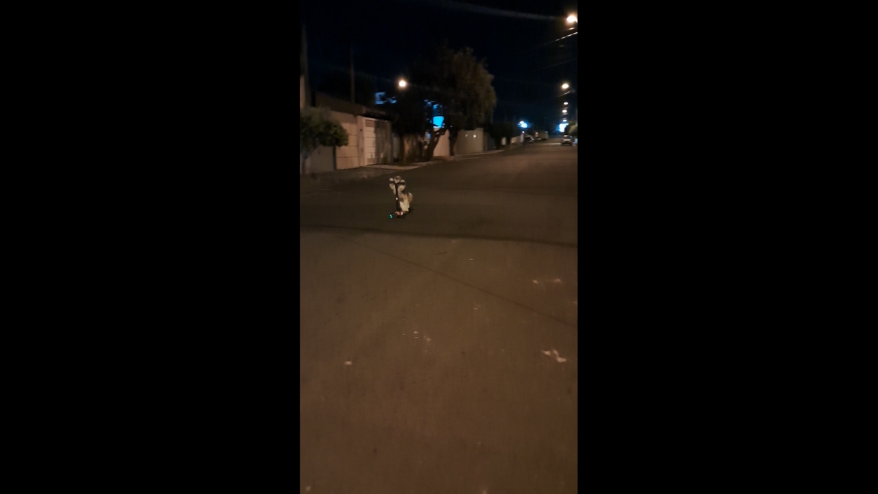 Video thumbnail for Shih Tzu’s Amazing Scooter Ride in Brazil