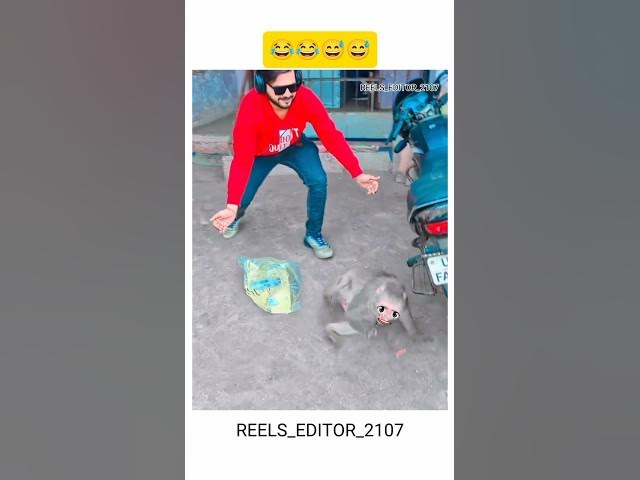 Video thumbnail for #Shorts #YouTubeShorts #ViralVideo #TrendingNow #FunMoments #Entertainment #ExplorePage #MustWatch