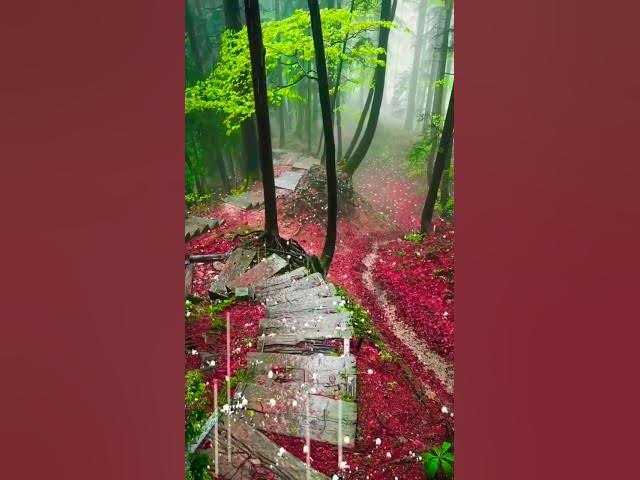 Video thumbnail for Nature