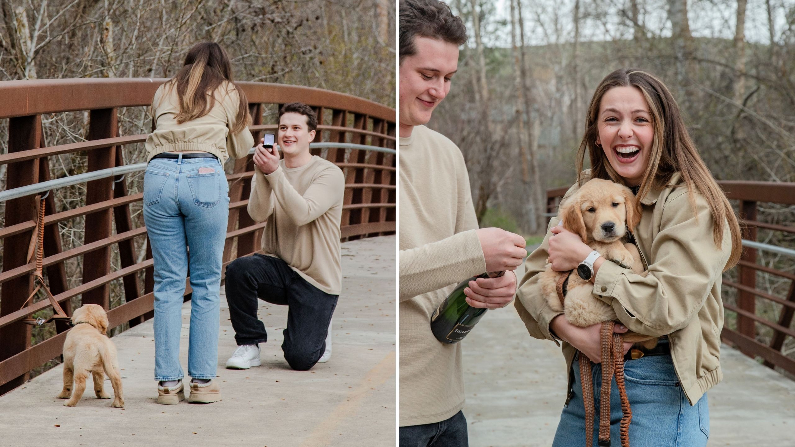 Video thumbnail for Puppy Surprise Turns Into Surprise Proposal