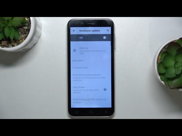 Video thumbnail for How to Unlock Developer Options on EMPORIA Smart 4 – Enter Hidden Mode