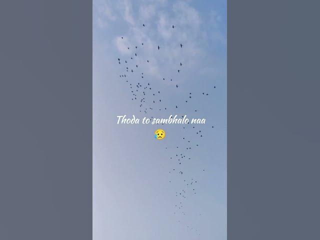 Video thumbnail for #Haal jo mera hai me kisko batou..#mere shaiba👉👰 #ringtones