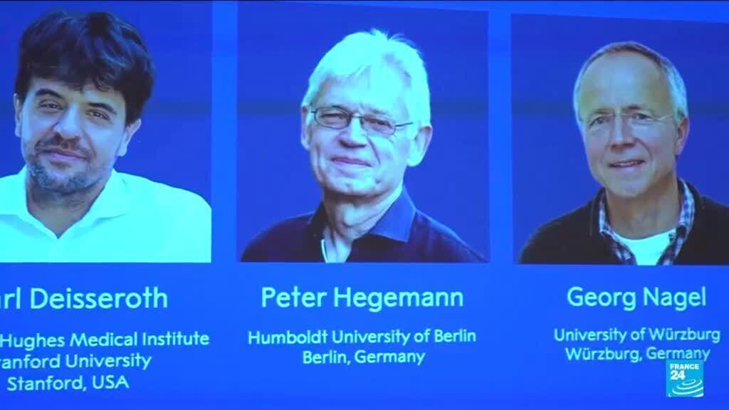 Video thumbnail for Switching on brain cells: the Nobel-winning science of optogenetics