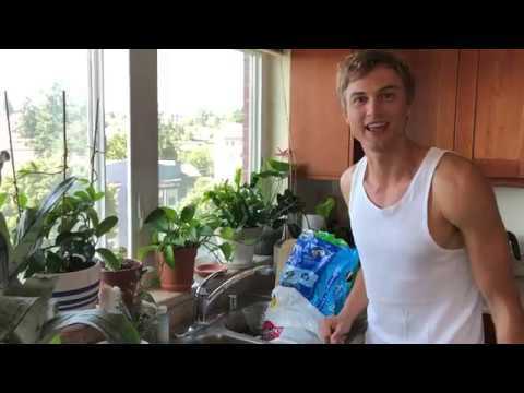 Video thumbnail for How to Properly Pot Up New Plants