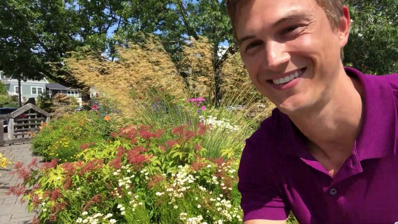 Video thumbnail for Ornmental Grasses in the Garden