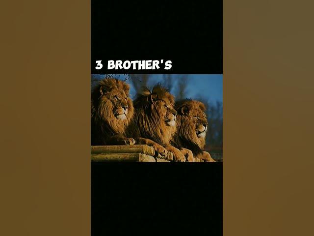 Video thumbnail for August 24, 2023