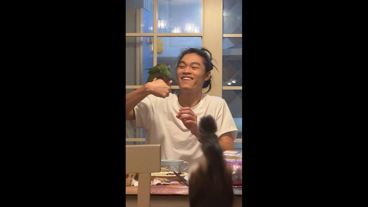 Video thumbnail for Bird Gently Pecks Cat’s Mouth During Close Encounter in Hangzhou