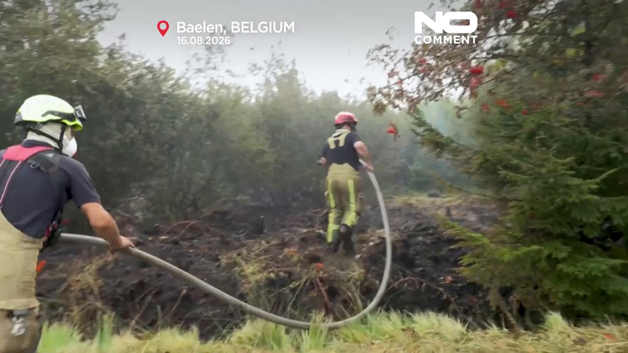 Video thumbnail for Belgium races to tame huge wildfire 'spreading towards Germany'