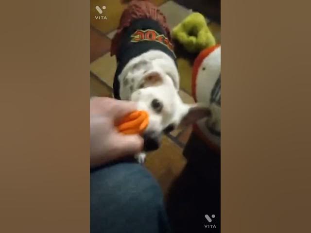 Video thumbnail for we are truly blessed