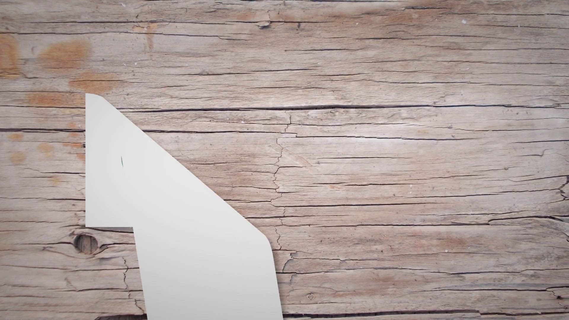 Video thumbnail for Pros of vegetarianism: what makes people give up meat?